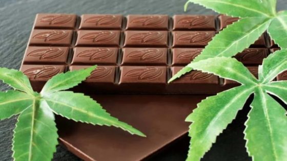 المغرب يستعد لتسويق شوكولاتة وقهوة “القنب الهندي” وتصديرها إلى أوروبا